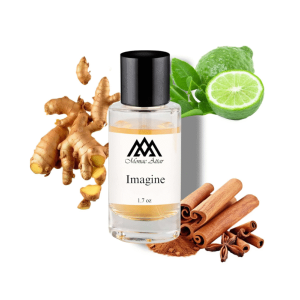 Monac Imagine Inspired by Imagination Eau De Parfum for Men, 1.7oz/50ml Long Lasting Luxury Fragrance Made Affordable